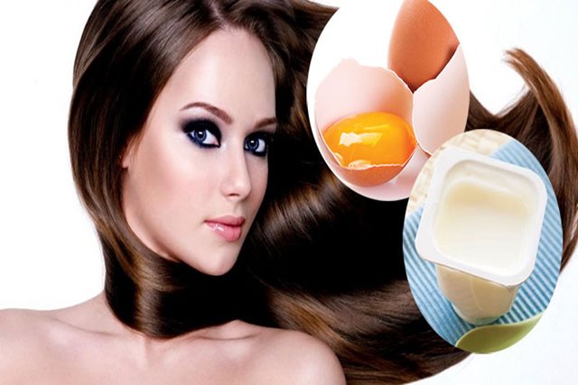 Phục hồi tóc hư tổn bằng protein trứng gà
